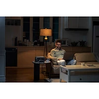 Station d'alimentation portative River 2 EcoFlow (ZMR600-US)