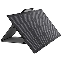 Panneau solaire portatif biface d'EcoFlow - 220 W