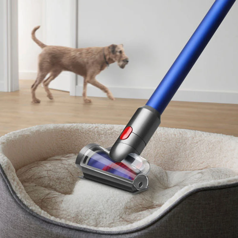 Dyson V11 Cordless Stick Vacuum - Nickel/Blue