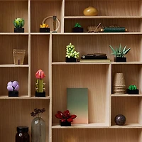 LEGO Botanicals : Les succulentes - 771 pièces (10309)