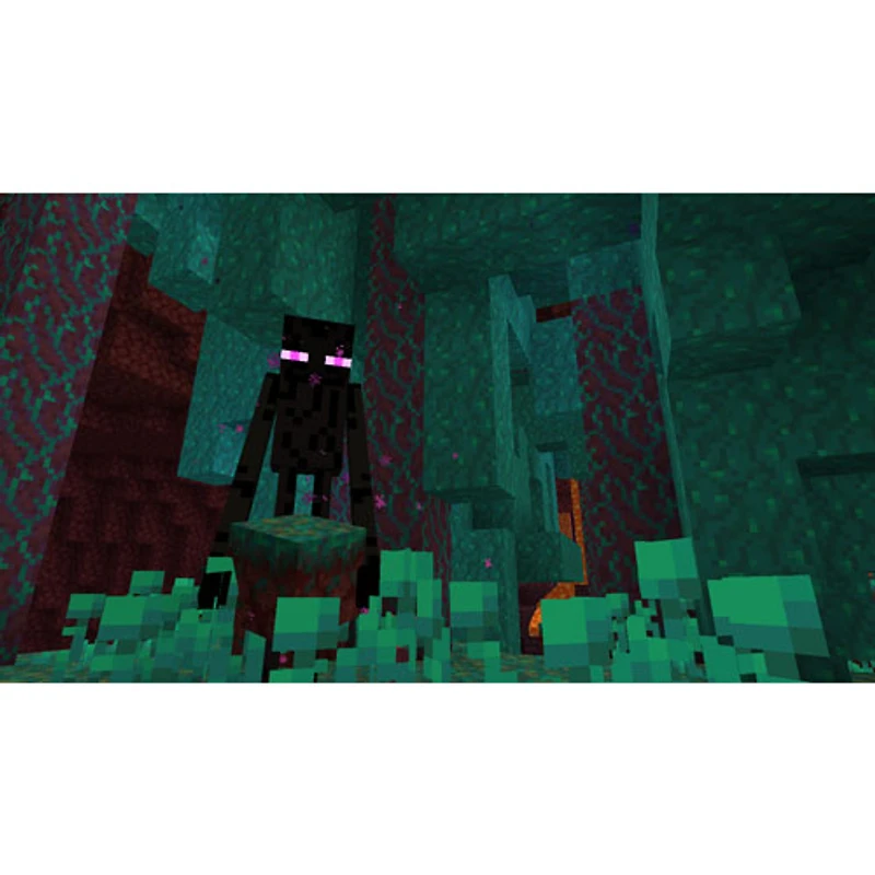 Minecraft: Édition Bedrock + 3500 pièces Minecoins (Xbox Series X/Xbox One)
