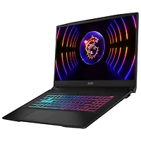 MSI Katana Series 17.3" Gaming Laptop - Black (Intel Core i9-13900H/1TB SSD/16GB RAM/GeForce RTX 4060/Win 11)