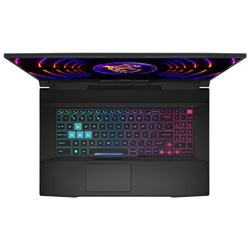 MSI Katana Series 17.3" Gaming Laptop - Black (Intel Core i9-13900H/1TB SSD/16GB RAM/GeForce RTX 4060/Win 11)