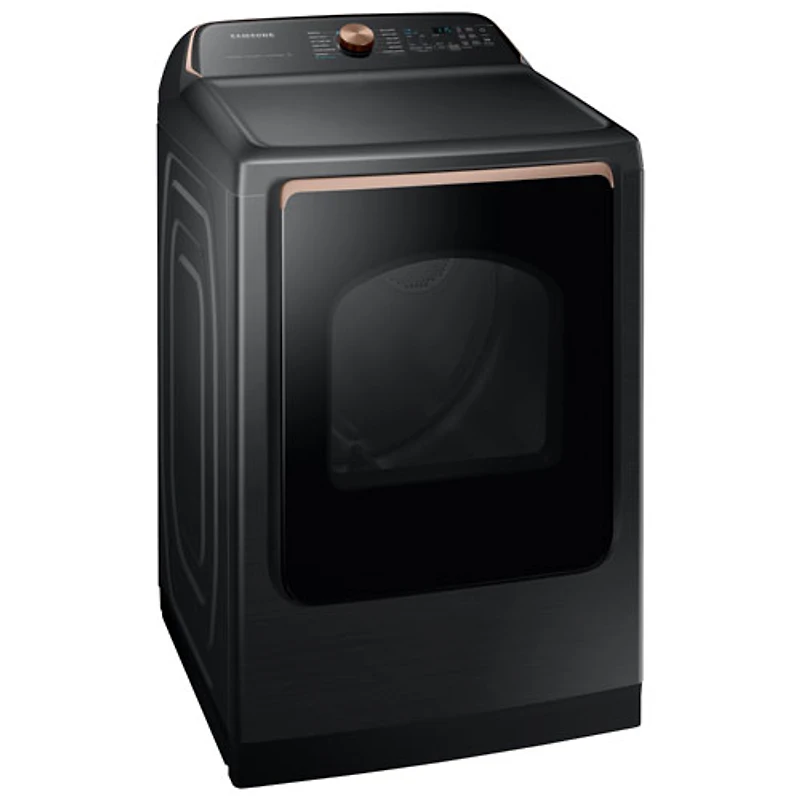 Sécheuse électrique à vapeur de 7,4 pi³ de Samsung (DVE54CG7550VAC) - Noir