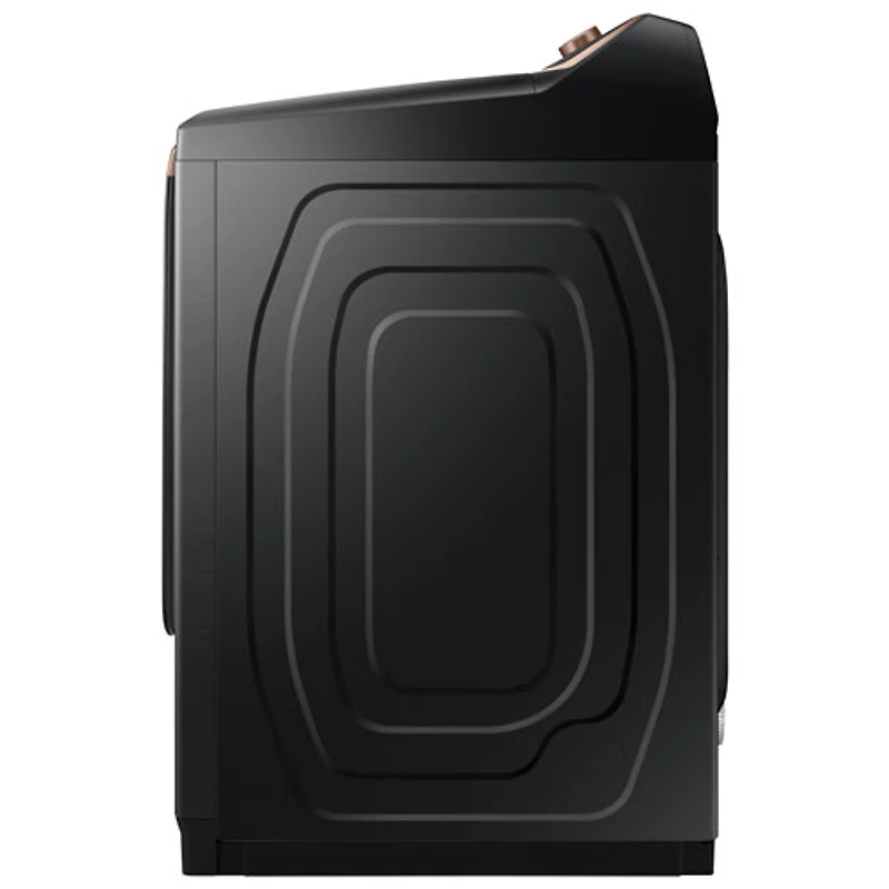 Sécheuse électrique à vapeur de 7,4 pi³ de Samsung (DVE54CG7550VAC) - Noir