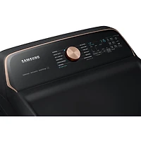 Sécheuse électrique à vapeur de 7,4 pi³ de Samsung (DVE54CG7550VAC) - Noir