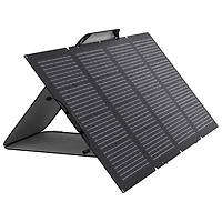EcoFlow RIVER 2 Portable Power Station & 220 Watts Solar Panel Bundle