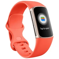 Moniteur activité Charge 6 de Fitbit avec GPS, fréquence cardiaque et sommeil