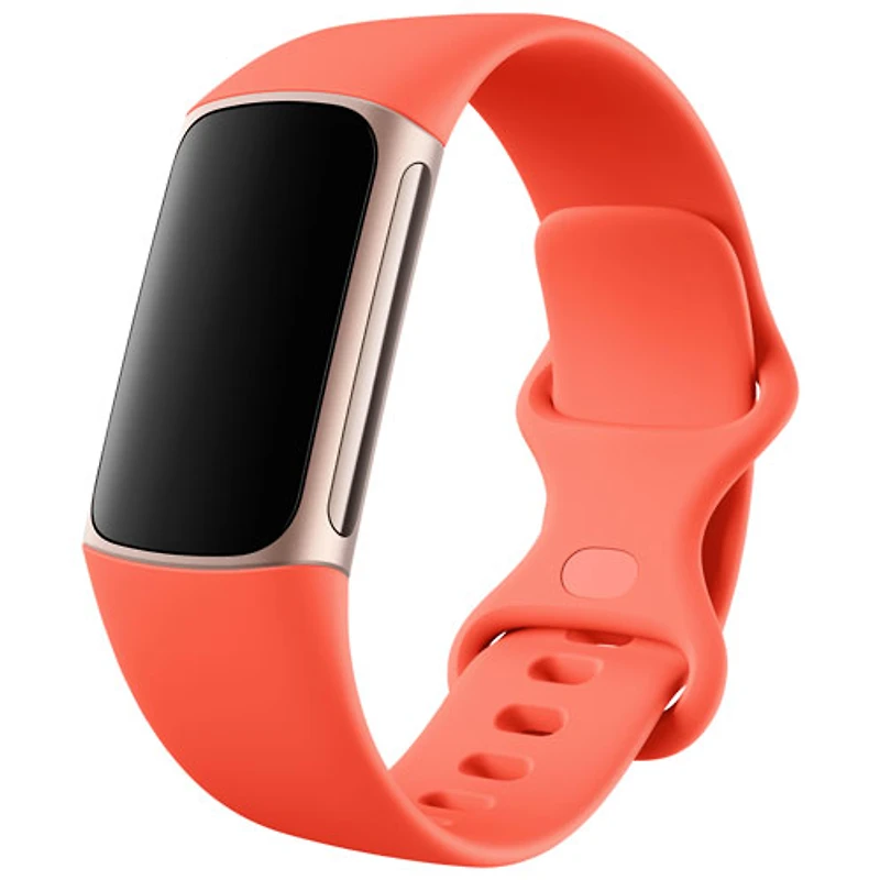 Moniteur activité Charge 6 de Fitbit avec GPS, fréquence cardiaque et sommeil