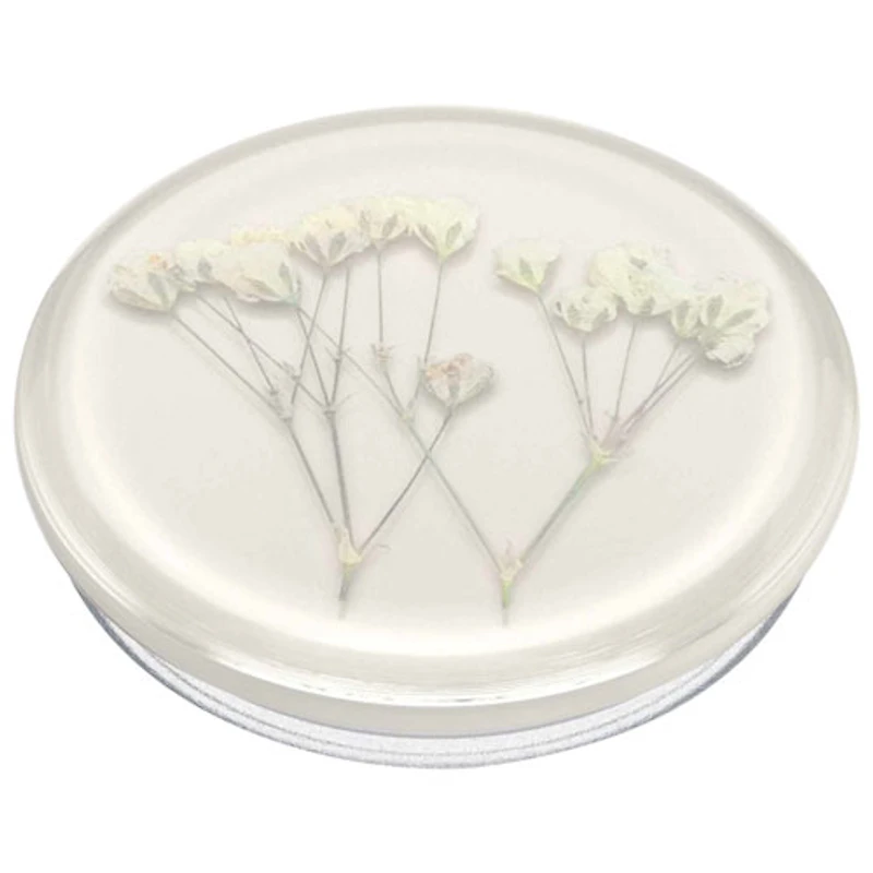 PopSockets PopGrip Universal Cell Phone Expanding Grip & Stand - Pressed Baby's Breath