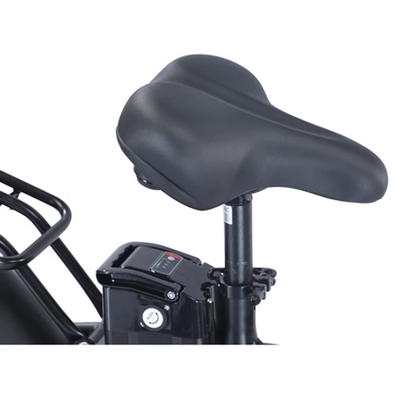 Vélo de promenade électrique repliable à gros pneus PowerPath de GoTyger (moteur 500 W/autonomie jusqu'à 45 km) - Noir