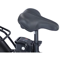 Vélo de promenade électrique repliable à gros pneus PowerPath de GoTyger (moteur 500 W/autonomie jusqu'à 45 km) - Noir