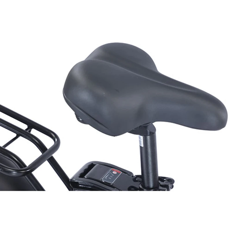 Vélo de transport électrique repliable à cadre bas PowerPath de GoTyger (moteur 500 W/autonomie jusqu'à 45 km) - Noir