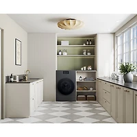 Samsung 6.1 Cu. Ft. Washer & Heat Pump Dryer Combo (WD53DBA900HZA1) - Dark Steel