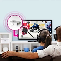 Convertisseur/adaptateur HDMI à RCA d'Aluratek (AHRA01F)