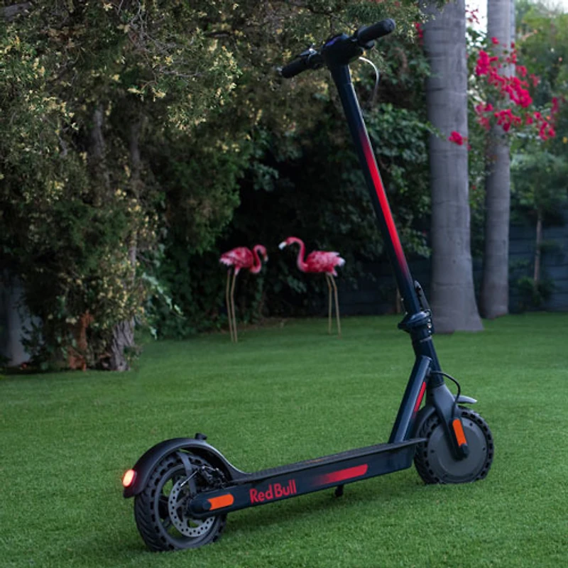 Trottinette électrique Red Bull (moteur 270W/portée de 38,6 km/vitesse maximale de 25 km/h) - Noir/Rouge