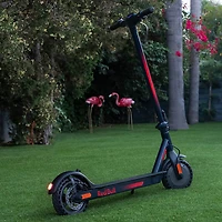 Trottinette électrique Red Bull (moteur 270W/portée de 38,6 km/vitesse maximale de 25 km/h) - Noir/Rouge