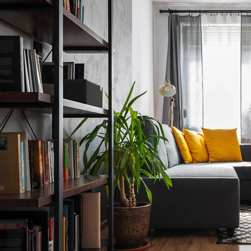 Haut-parleur sans fil Bluetooth The Three Plus de Klipsch- Noir