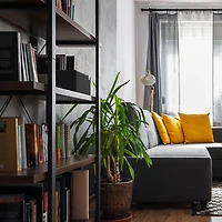 Haut-parleur sans fil Bluetooth The Three Plus de Klipsch- Noir