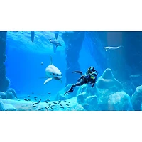 Endless Ocean Luminous (Switch)