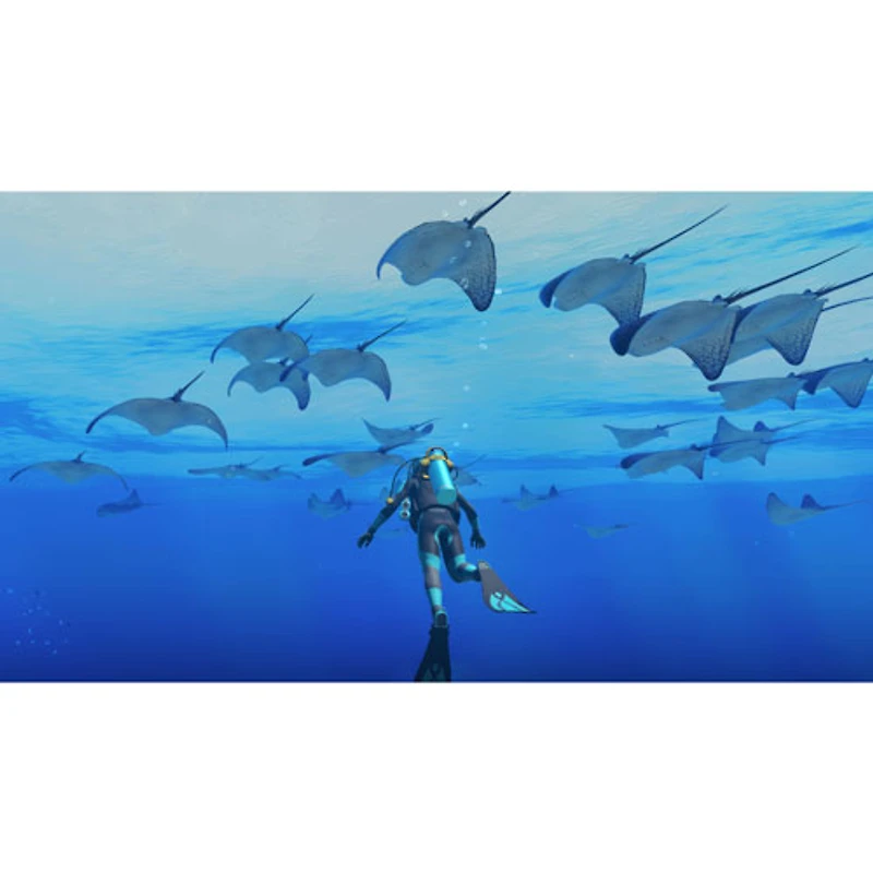 Endless Ocean Luminous (Switch)