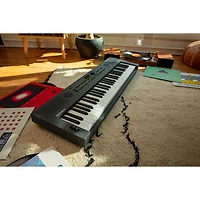 Roland GO:KEYS 5 61-Key Music Creation Keyboard - Graphite