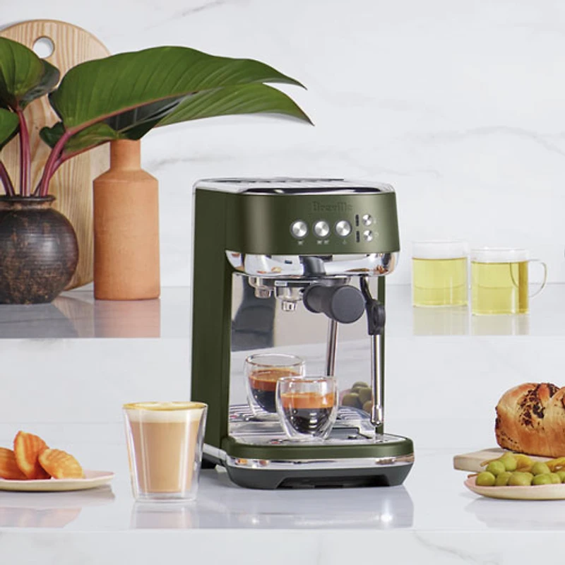 Breville Bambino Plus Automatic Espresso Machine with Frother - Olive Tapenade