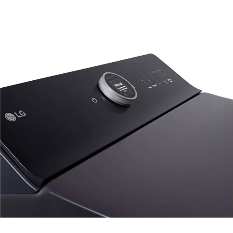 LG EasyLoad 7.3 Cu. Ft. Electric Steam Dryer (DLEX8600BE) - Matte Black