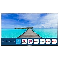 Téléviseur intelligent d'extérieur webOS HDR DEL UHD 4K de 65 po Full Sun de Neptune (ODTV6504)