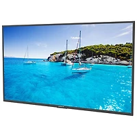 Téléviseur intelligent d'extérieur webOS HDR DEL UHD 4K de 55 po Full Sun de Neptune (ODTV5504)