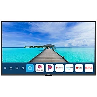 Téléviseur intelligent d'extérieur webOS HDR DEL UHD 4K de 55 po Full Sun de Neptune (ODTV5504)