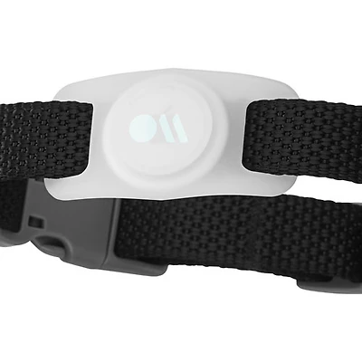 Étui de collier à chien de Case-Mate pour AirTag - Phosphorescent