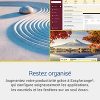 Moniteur IPS DEL WQHD 100 Hz de 27 po de Dell avec temps de réponse de 4 ms (S2725DS) - Argenté