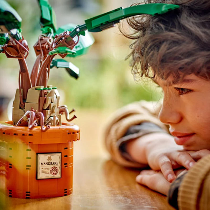 LEGO Harry Potter: La mandragore - 579 pièces (76433)