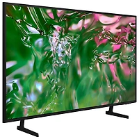 Samsung 60" 4K UHD HDR LED Smart TV (UN60DU6900FXZC) - 2024