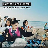 Sony ULT FIELD 1 Waterproof Bluetooth Wireless Speaker - Black