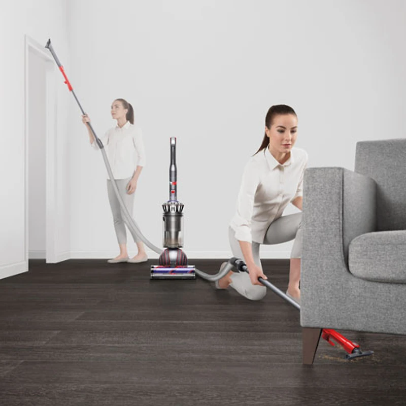 Aspirateur vertical sans sac Ball Animal 3 de Dyson - Nickel/Argenté