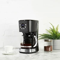Cafetière à filtre programmable de Haden - 12 tasses - Noir/Chromé