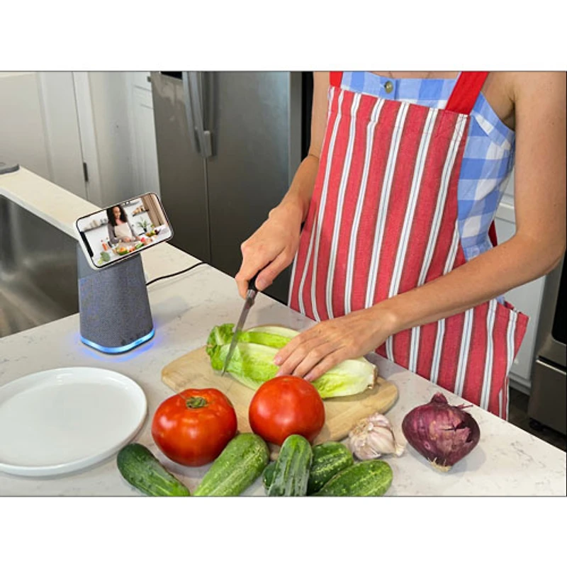 Haut-parleur Bluetooth iPBT70 d'iHome avec recharge sans fil triple et lumière d'ambiance