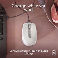 Souris compacte sans fil Darkfield MX Anywhere 3S de Logitech pour Mac - Gris pâle - Exclusivité de Best Buy