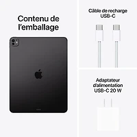Apple iPad Pro 13" 256GB with Wi-Fi (7th Generation) - Space Black