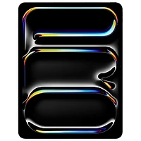 iPad Pro 13 po 512 Go avec Wi-Fi et 5G d'Apple (7e génération) - Noir infini