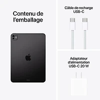 Apple iPad Pro 11" 2TB with Nano-Etched Glass & Wi-Fi (5th Generation) - Space Black
