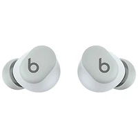 Écouteurs boutons 100 % sans fil à isolation sonore Solo Buds de Beats by Dr. Dre - Gris tempête