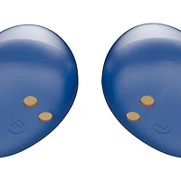 Écouteurs boutons 100 % sans fil à suppression active du bruit Everyday de Raycon - Bleu royal