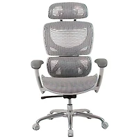 Fauteuil de bureau en filet à dossier haut avec appuie-tête réglable de TygerClaw - Gris