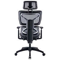 Fauteuil de bureau ergonomique en filet à dossier haut de TygerClaw - Noir