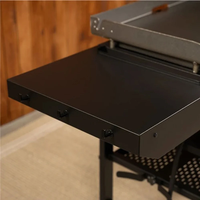 Plaque chauffante de 24 000 BTU Omnivore de Blackstone (2206)