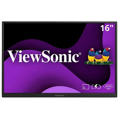 Moniteur DEL IPS 60 Hz GàG 9,5 ms de 16 po de ViewSonic (VG1656N) - Argenté