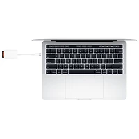 Lecteur de cartes USB-C vers carte SD d'Apple (MW653AM/A)